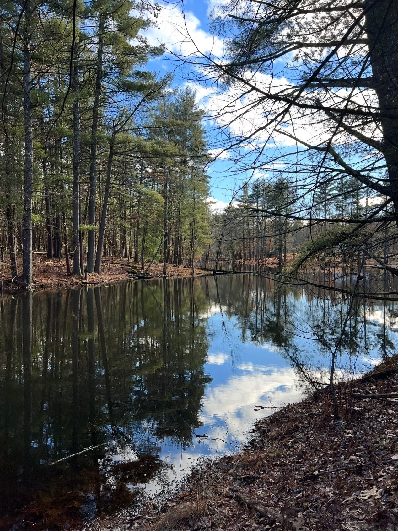 135 Lowell Rd, Pepperell, MA Photo #32