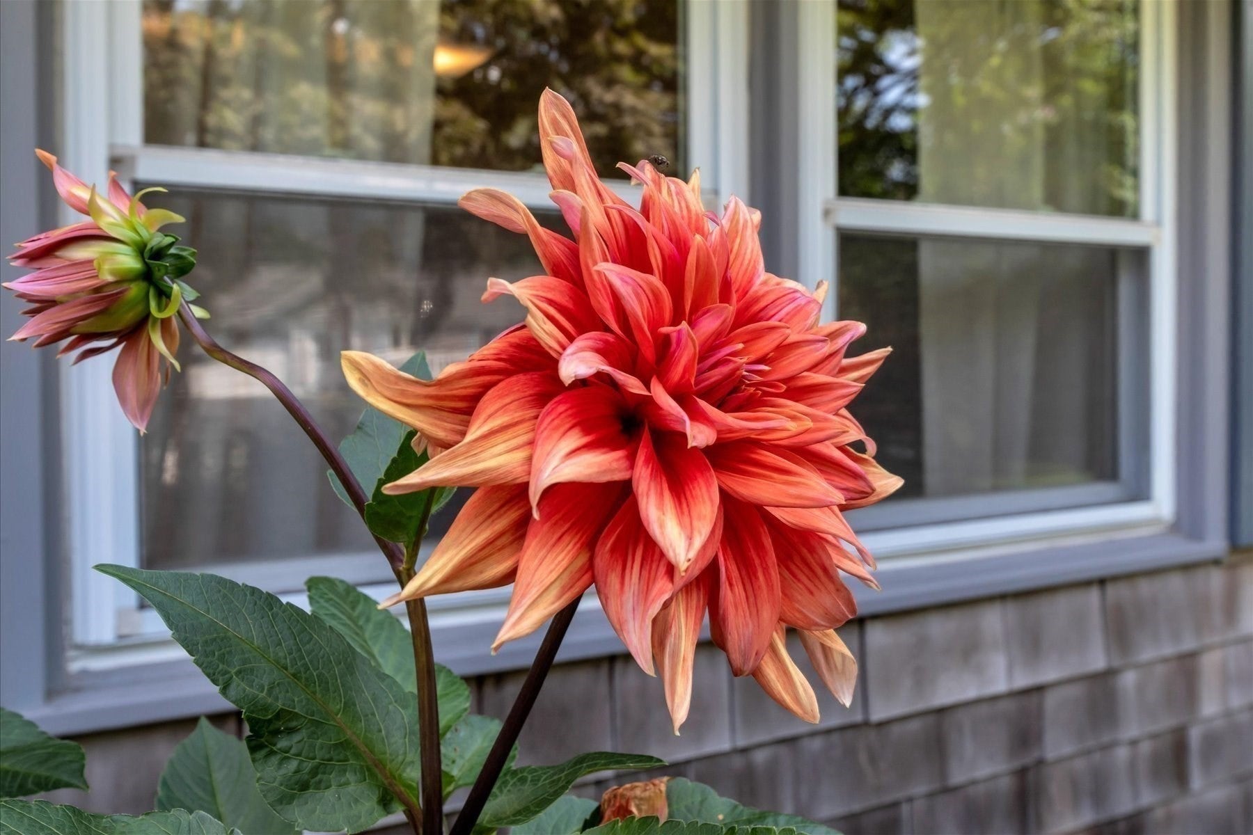 66 Sheaffer Rd, Barnstable, MA Photo #33