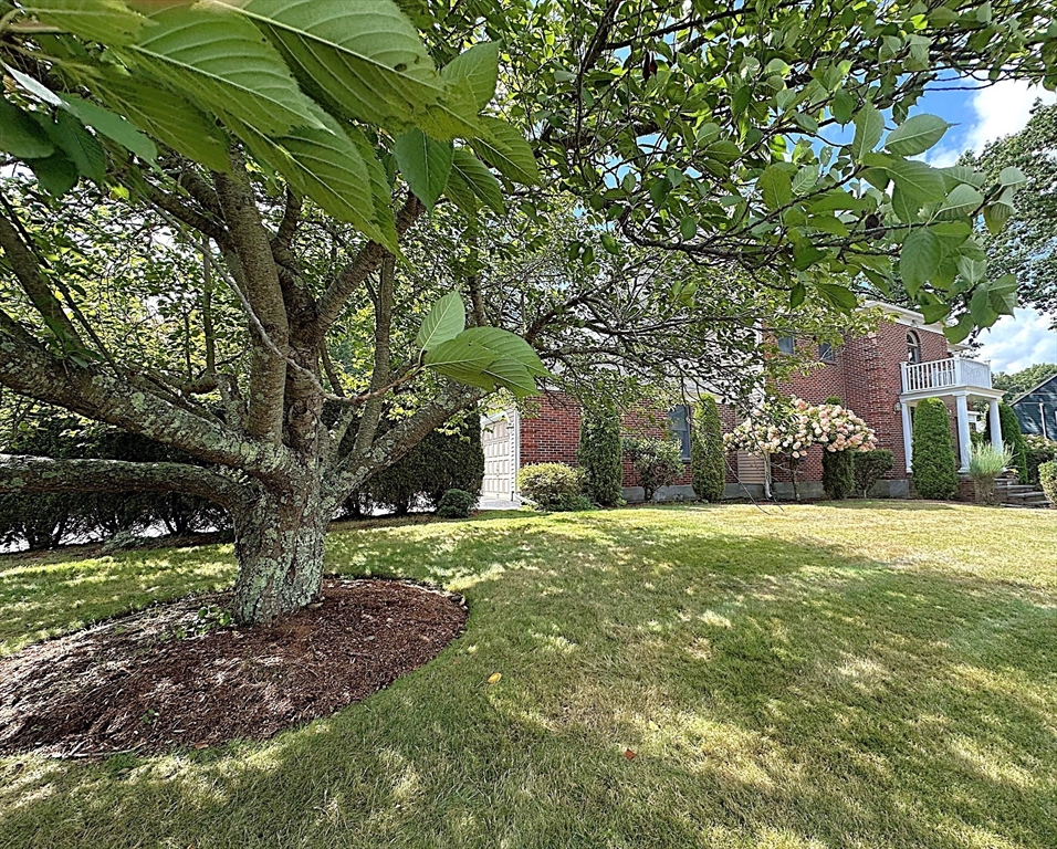93 Brewster Dr