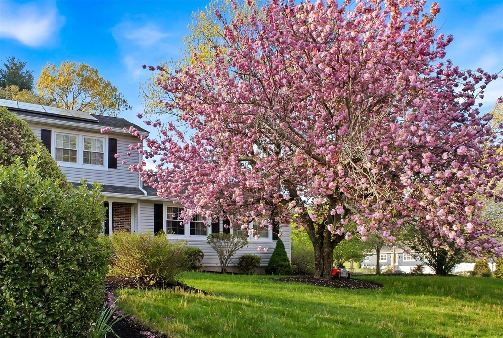 9 Sparhawk Dr
