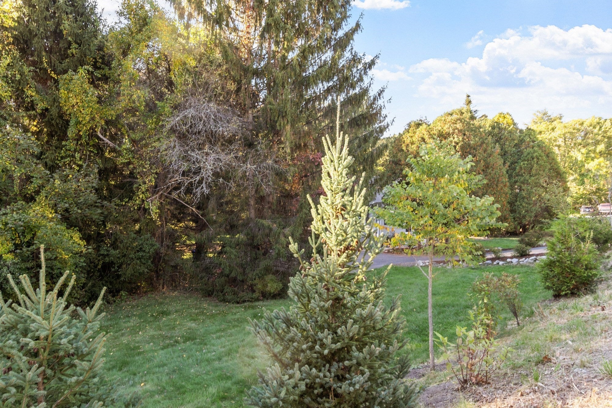 390 North Rd, Bedford, MA, 390 North Rd, Bedford, MA Photo #4