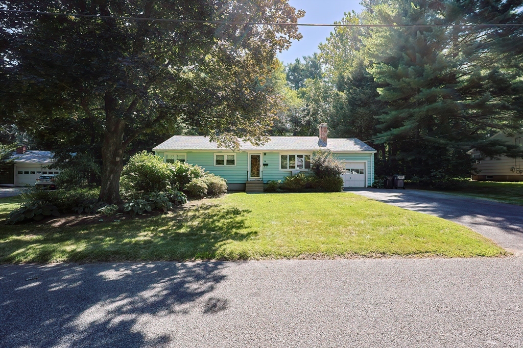 13 Little Tree Lane