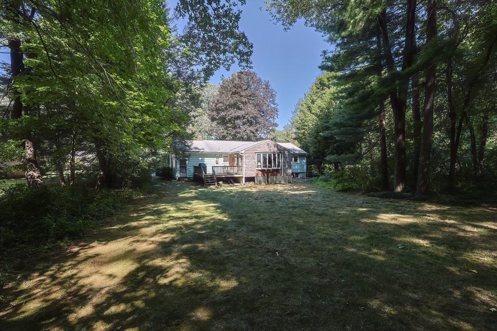 13 Little Tree Lane