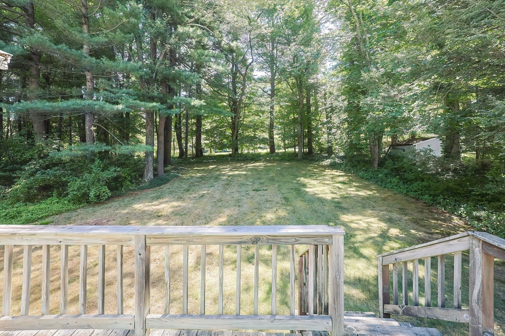 13 Little Tree Lane