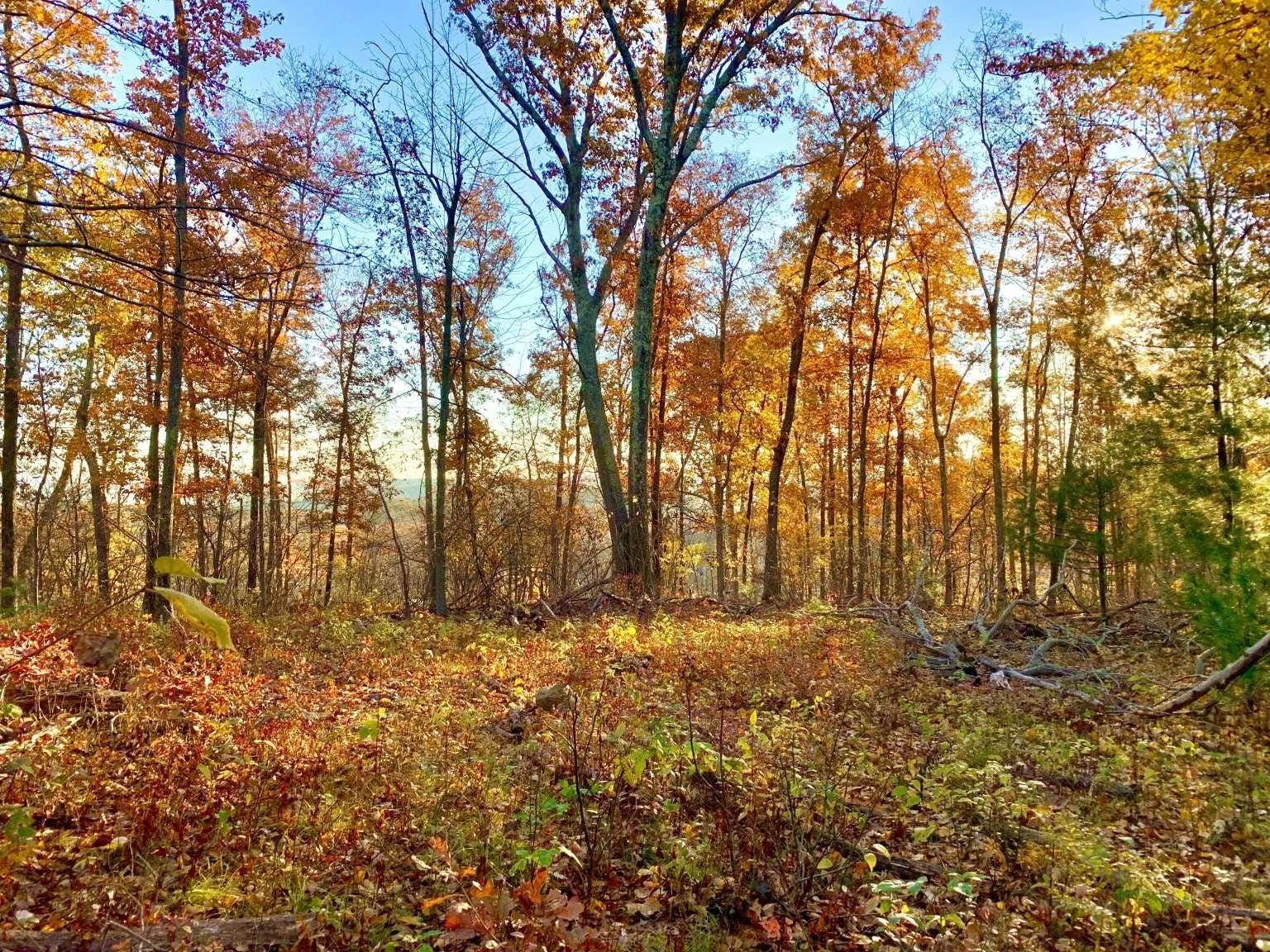 126 Burbank Rd, Sutton, MA, 126 Burbank Rd, Sutton, MA Photo #6