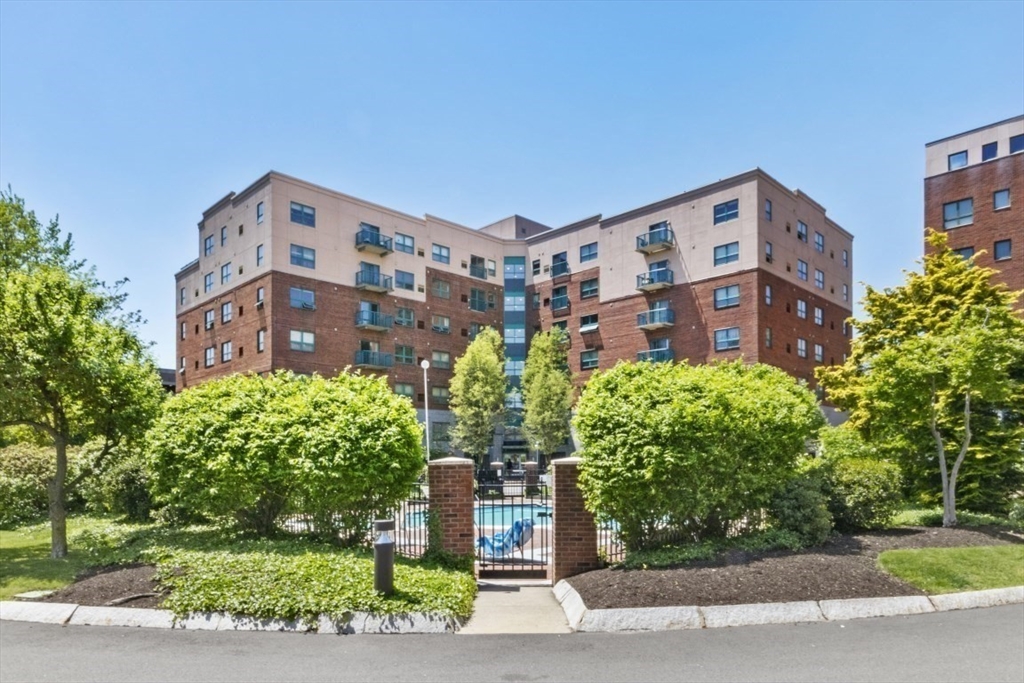 175 Cottage St 710