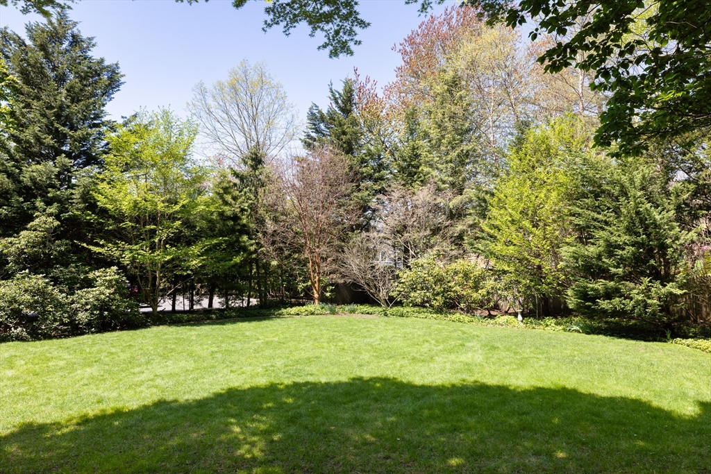 401 Heath Street, Brookline, MA Photo #24