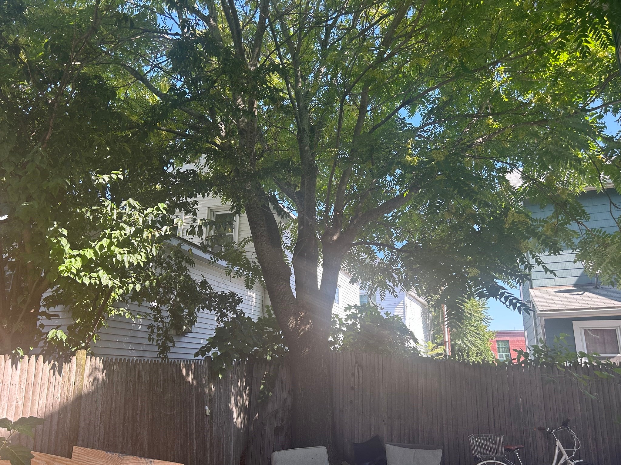 99 Franklin St #2, Somerville, MA, 99 Franklin St #2, Somerville, MA Photo #2