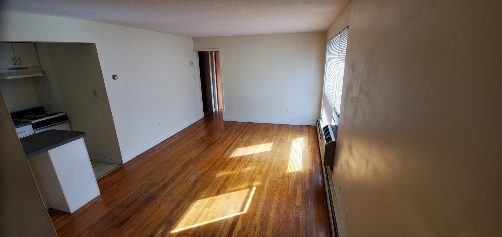 77 Trowbridge ST #41, Cambridge, MA, 77 Trowbridge ST #41, Cambridge, MA Photo #1