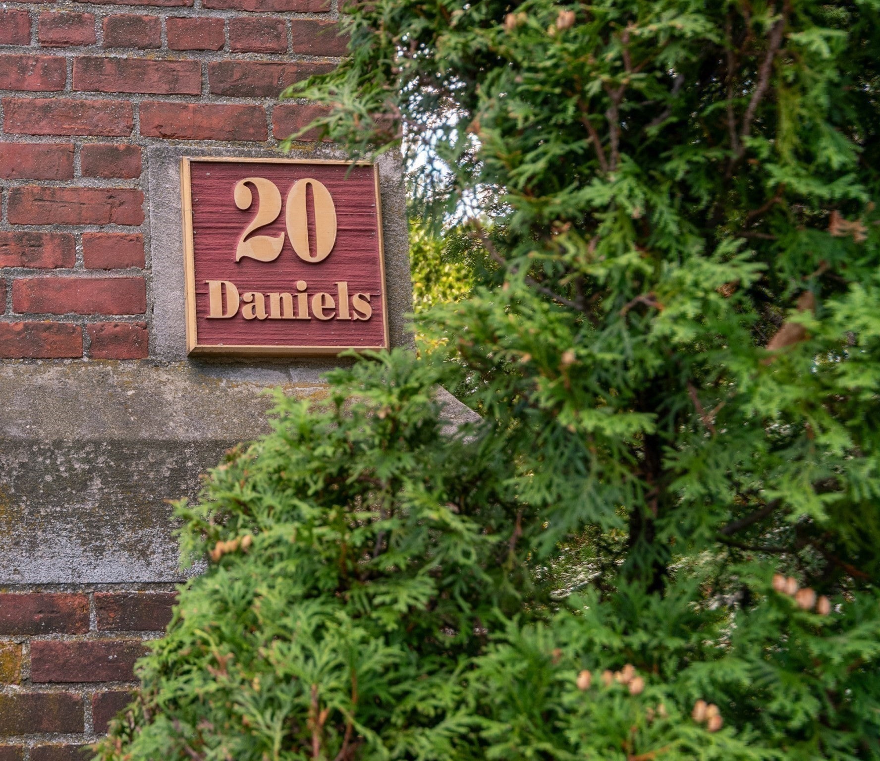 20-30 Daniels St #318, Malden, MA, 20-30 Daniels St #318, Malden, MA Photo #36