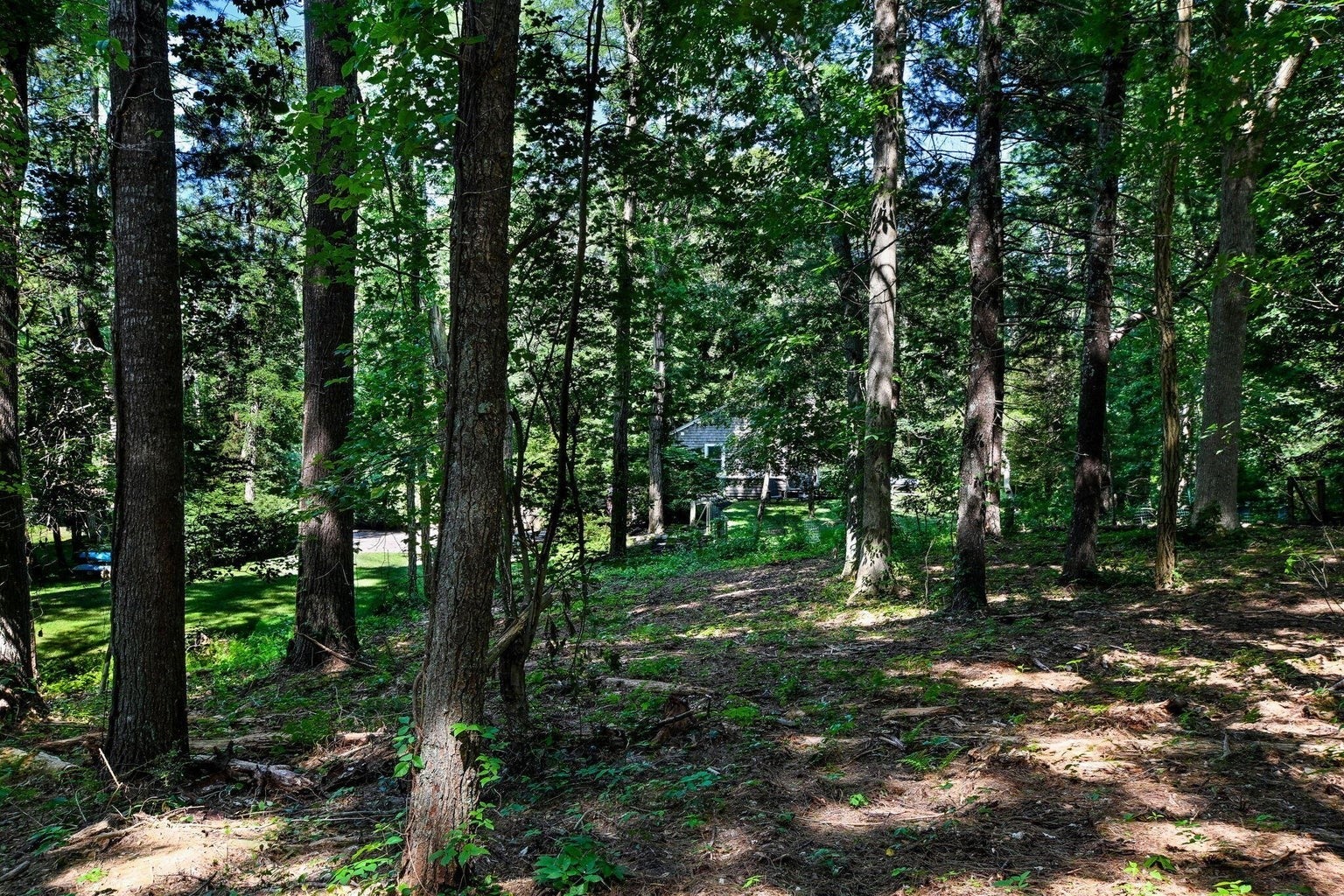 72 Benjamin Nyes, Falmouth, MA, 72 Benjamin Nyes, Falmouth, MA Photo #29