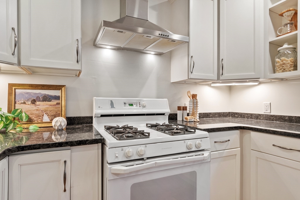 25 Partridge Avenue, Somerville, MA, 25 Partridge Avenue, Somerville, MA Photo #6