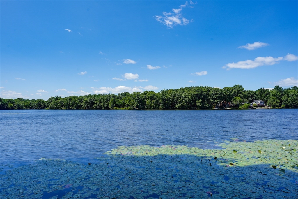 66 Sewall St, Shrewsbury, MA Photo #41