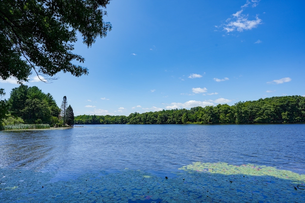 66 Sewall St, Shrewsbury, MA Photo #38