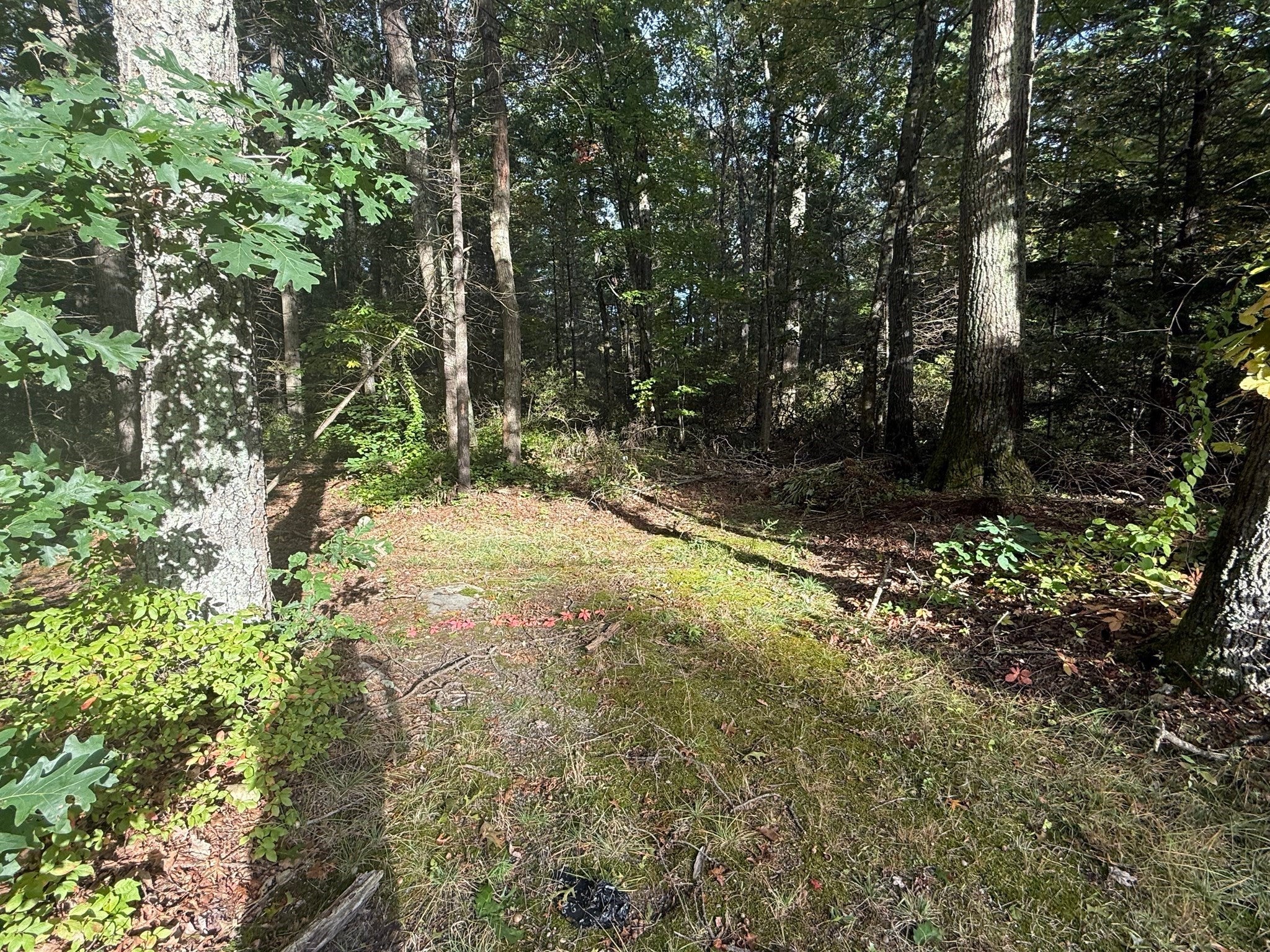 Lot 1 Northwest Road