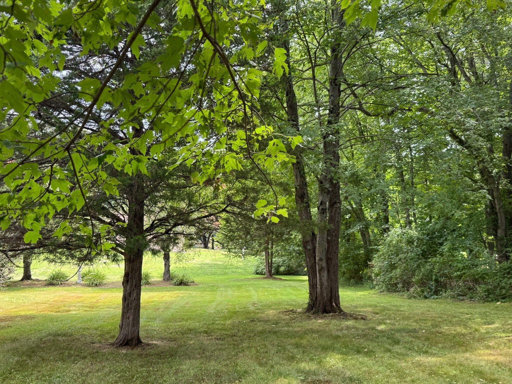 133 Cole Street, Seekonk, MA Photo #39