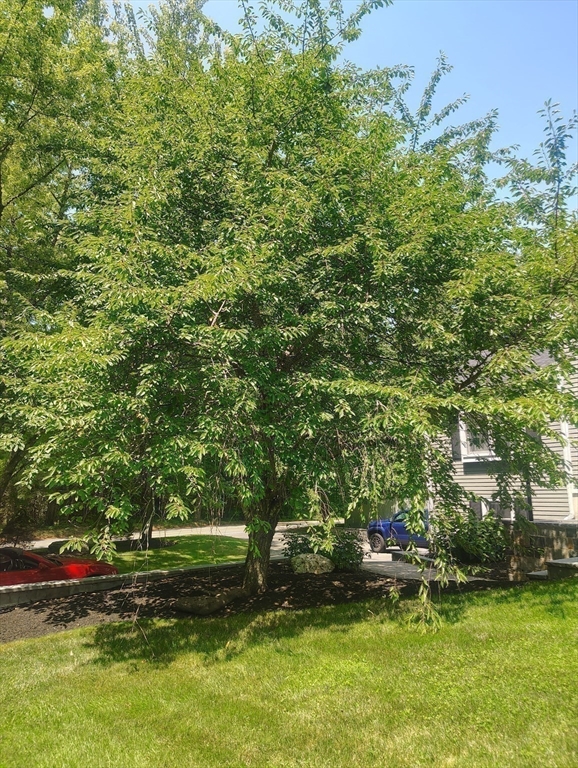 6 Forest Street, Raynham, MA Photo #38