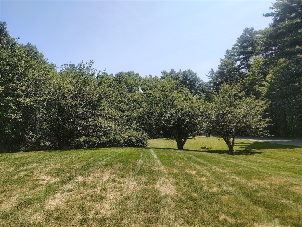 6 Forest Street, Raynham, MA Photo #37