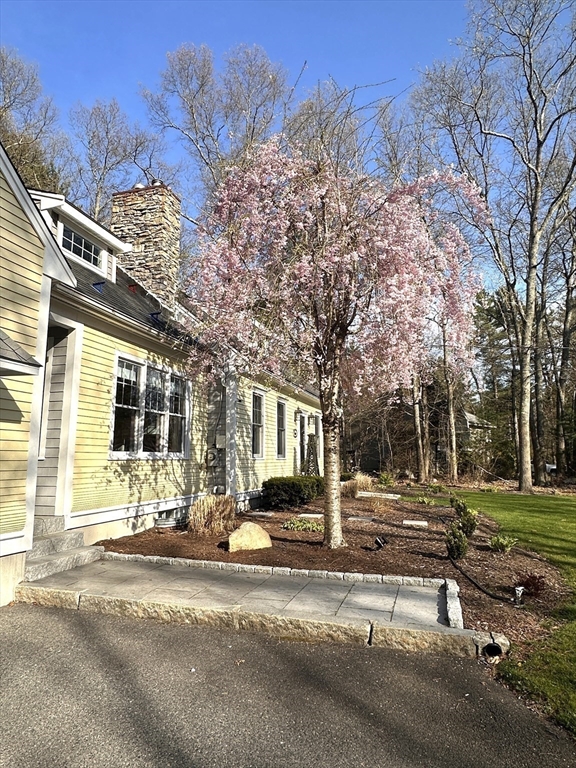 11 Norton Ave