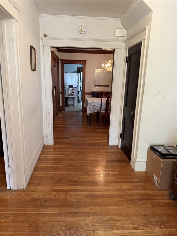 19-21 Elm St