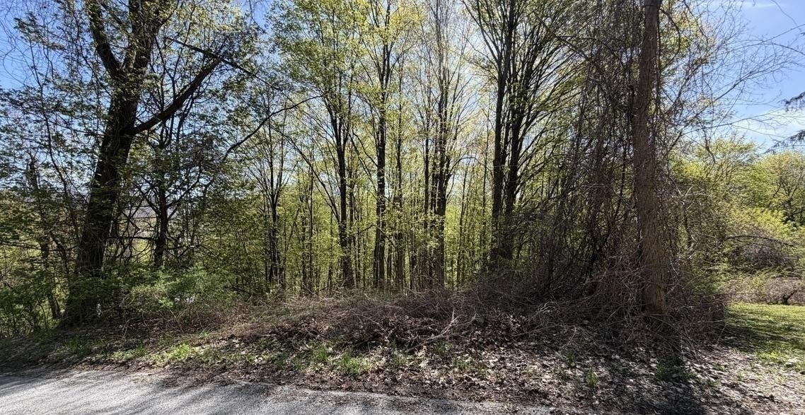 Lots 2A-3A Reservoir Road