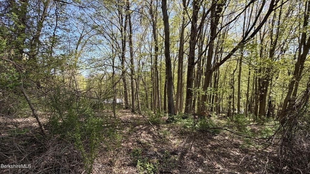 Lots 2A-3A Reservoir Road