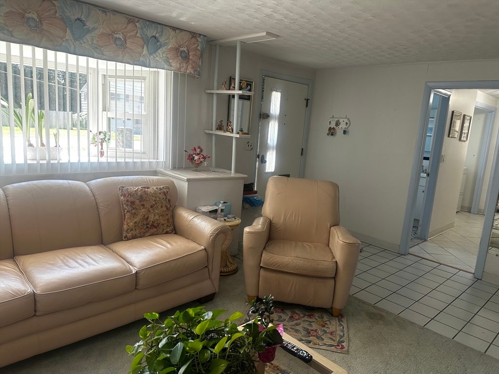 37 Rustcraft Rd