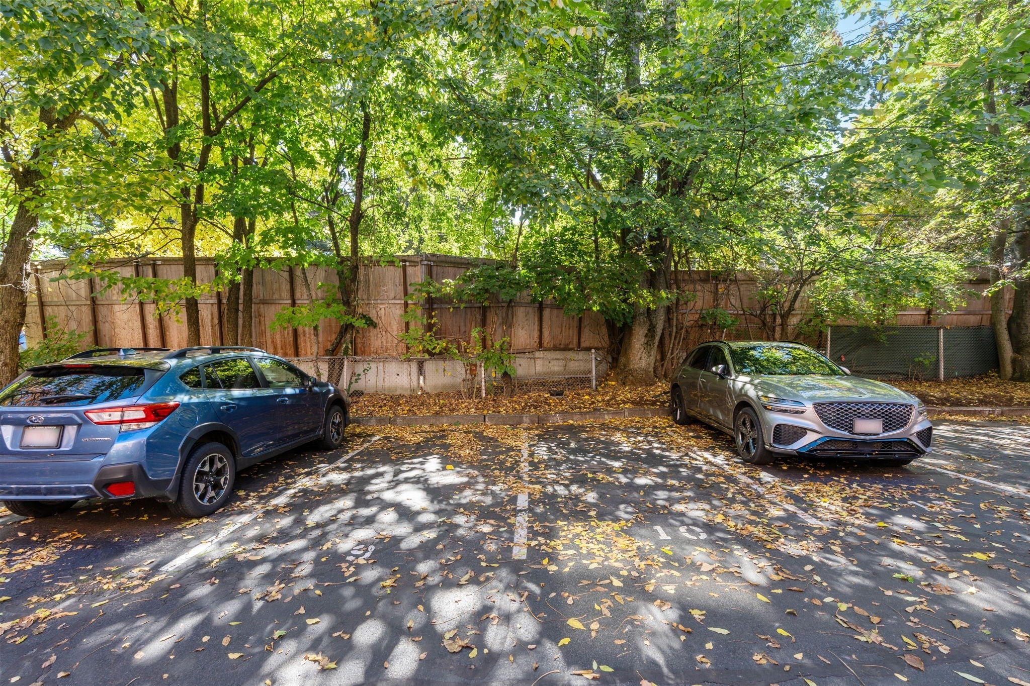 136 Beaconsfield Rd #2, Brookline, MA Photo #16