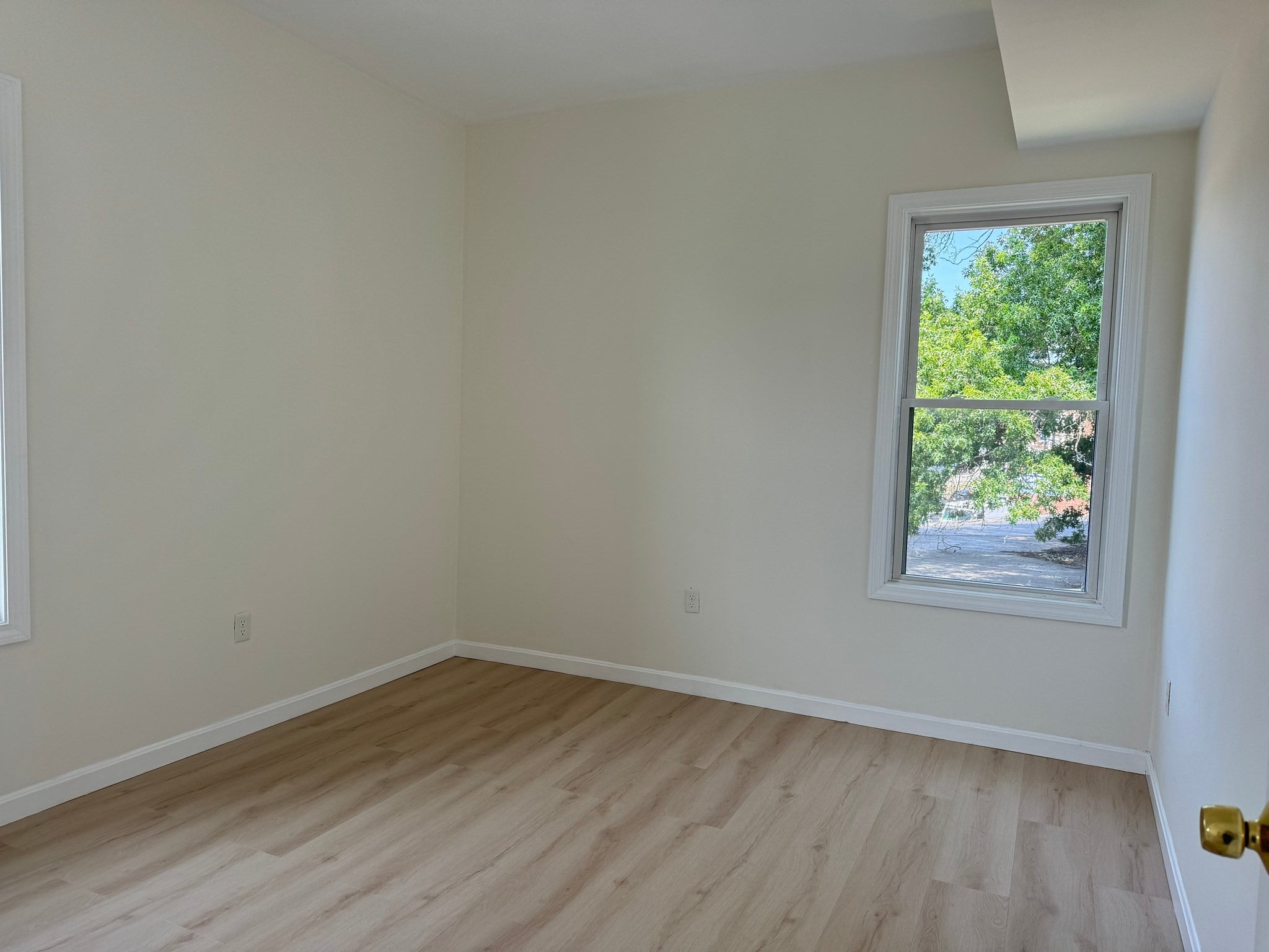 247 Harvard St #3, Boston, MA Photo #7