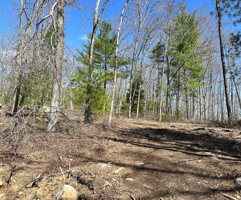 126 Burbank Rd Lot 1