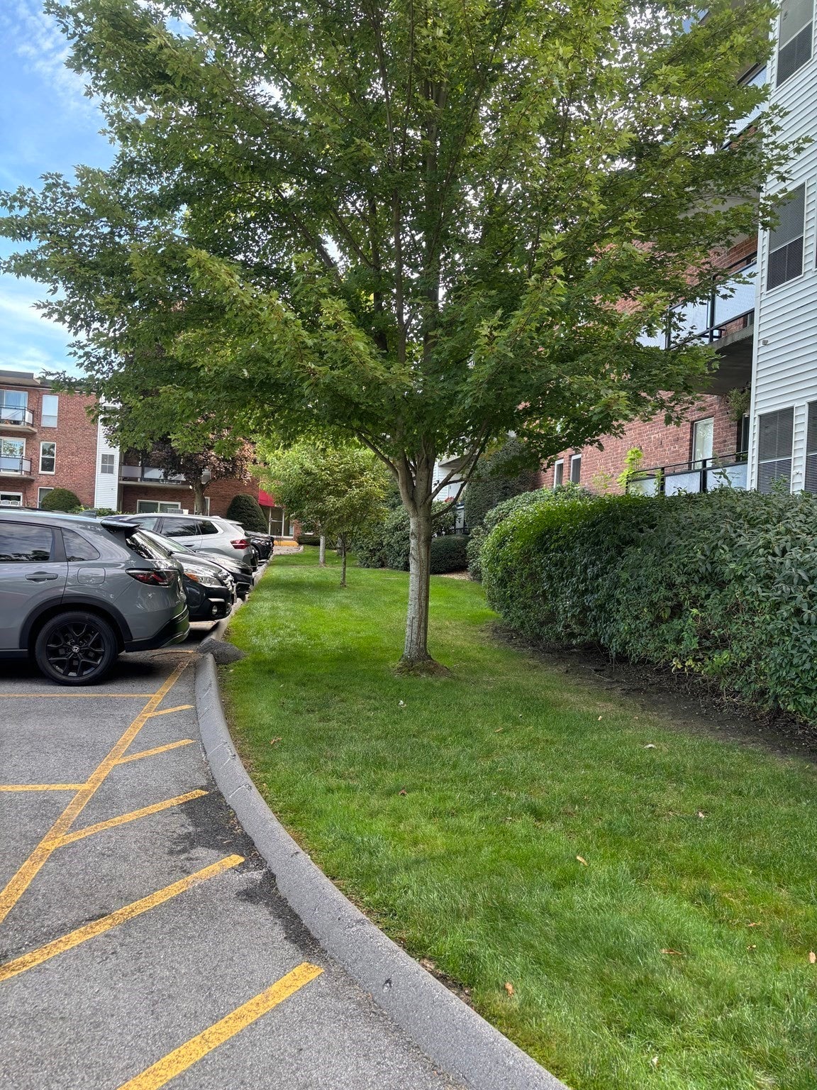 57 Broadlawn Park #11, Boston, MA, 57 Broadlawn Park #11, Boston, MA Photo #13