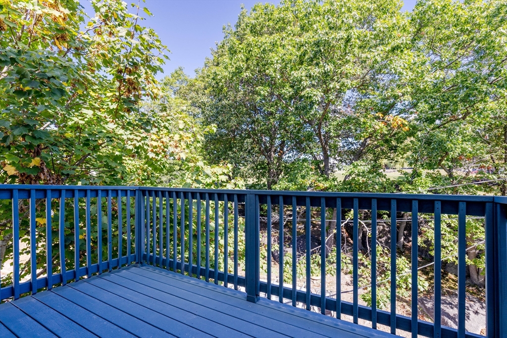 51 Beech Glen St. 3