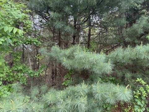 Photo of 0 Marina Dr, Mattapoisett, MA 02739 (MLS # 73531715)