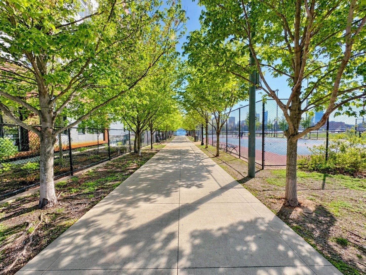 99 Sumner St #305, Boston, MA, 99 Sumner St #305, Boston, MA Photo #17