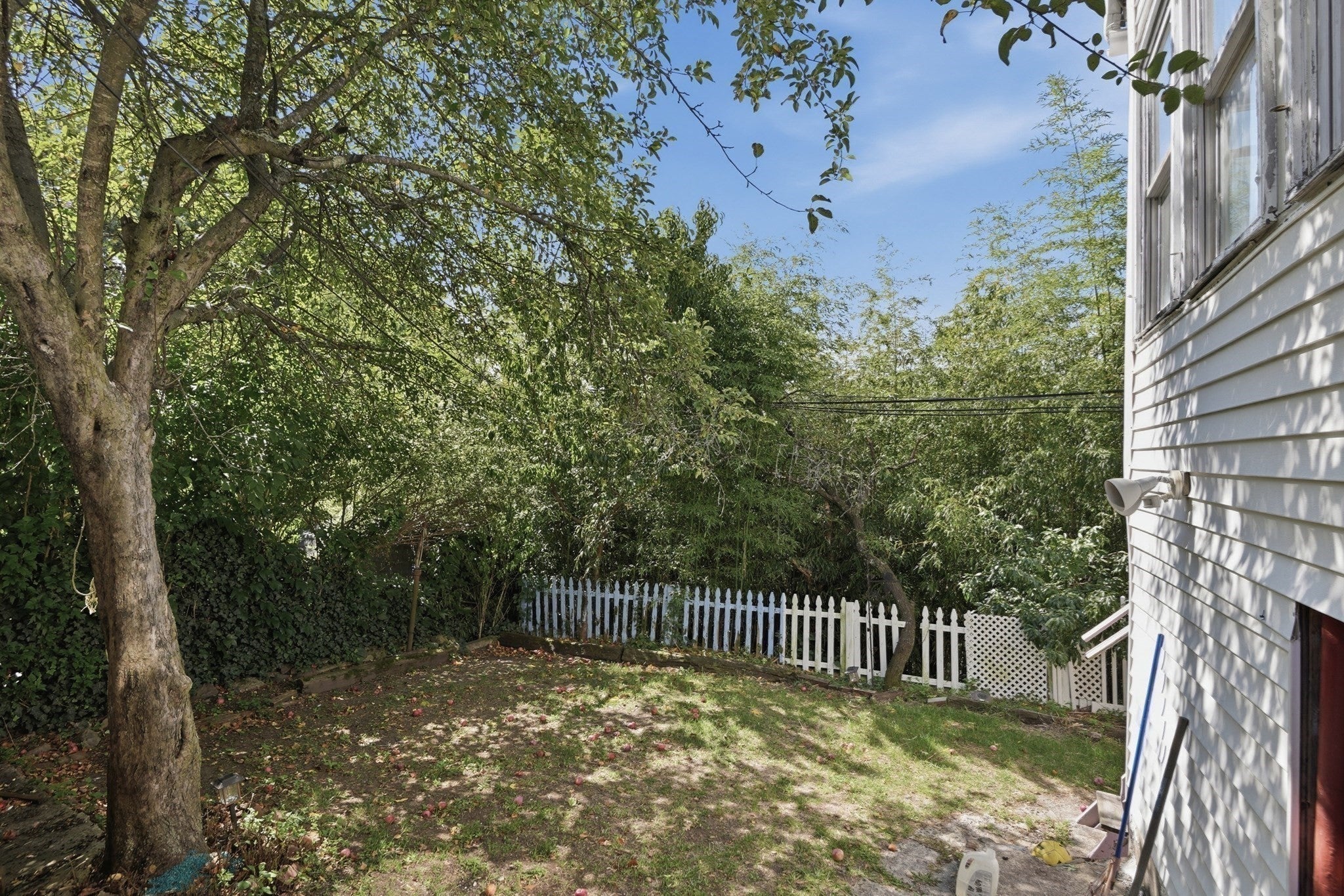 27 Cranston Street, Boston, MA, 27 Cranston Street, Boston, MA Photo #31
