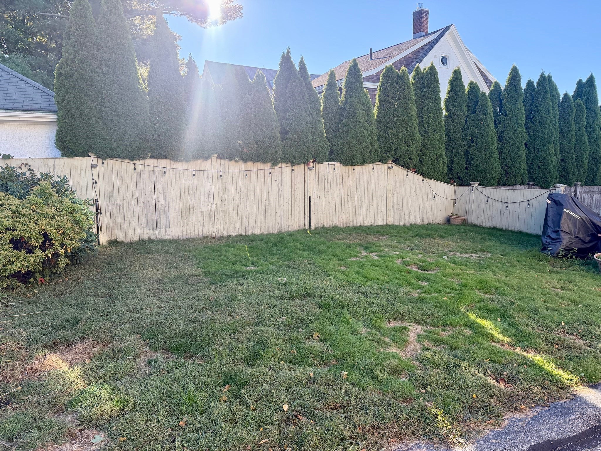43 Upland Rd, Watertown, MA, 43 Upland Rd, Watertown, MA Photo #5