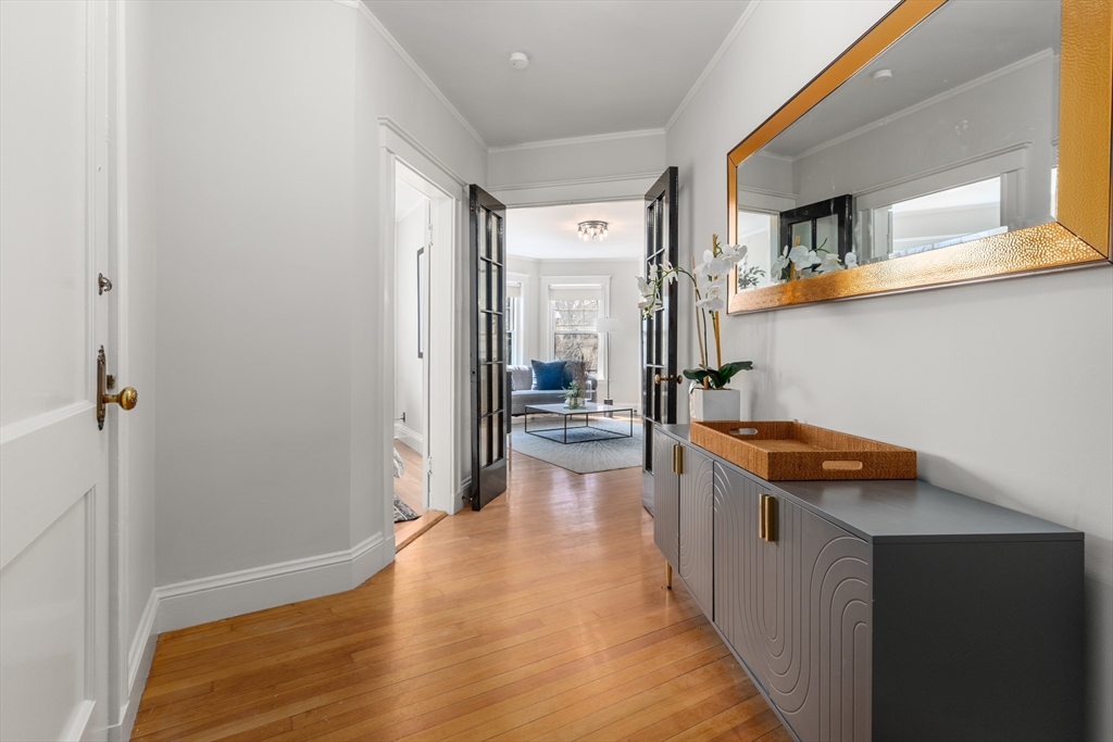 31 Linnaean Street 6