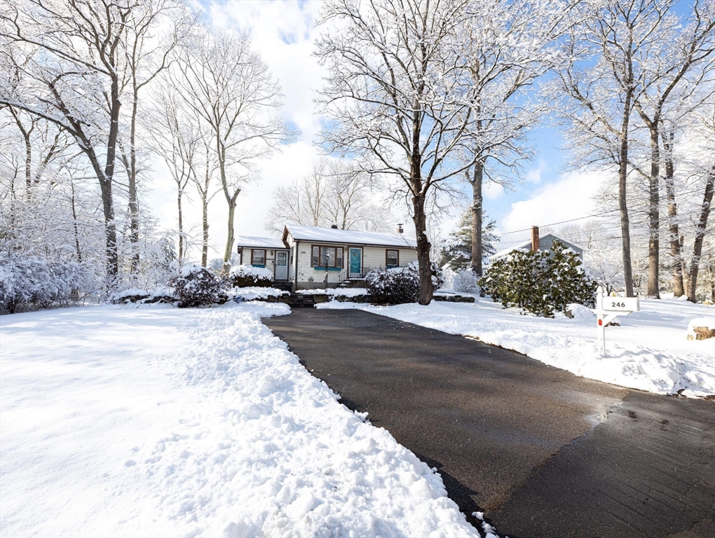 246 Pemberton Street