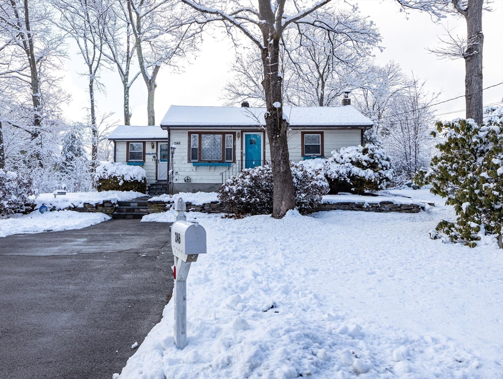 246 Pemberton Street