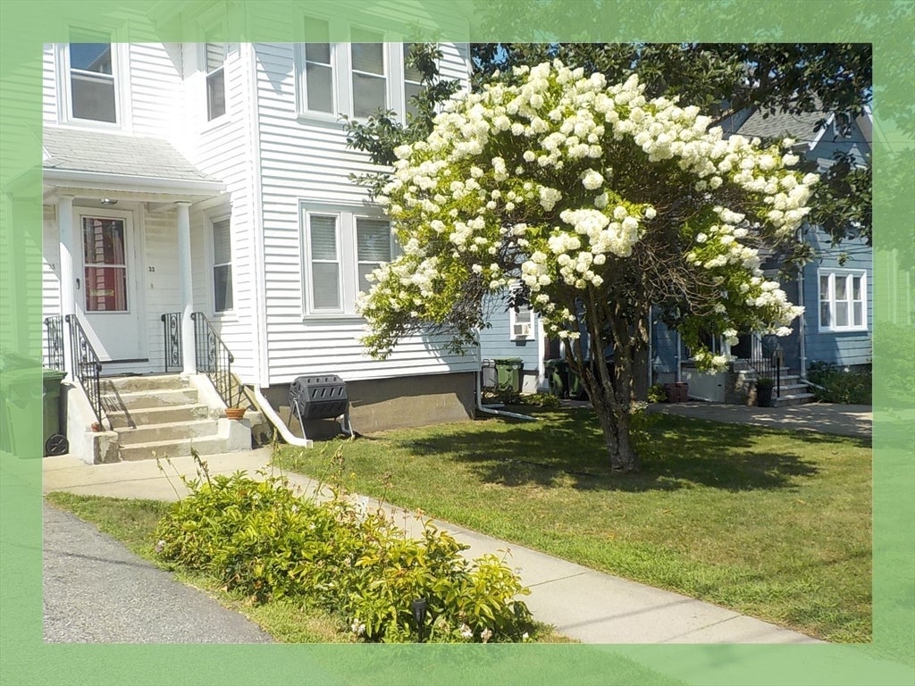 33 Boylston Street #2, Watertown, MA, 33 Boylston Street #2, Watertown, MA Photo #3
