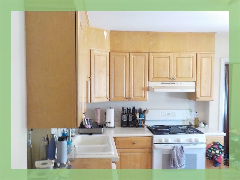 33 Boylston Street #2, Watertown, MA, 33 Boylston Street #2, Watertown, MA Photo #14