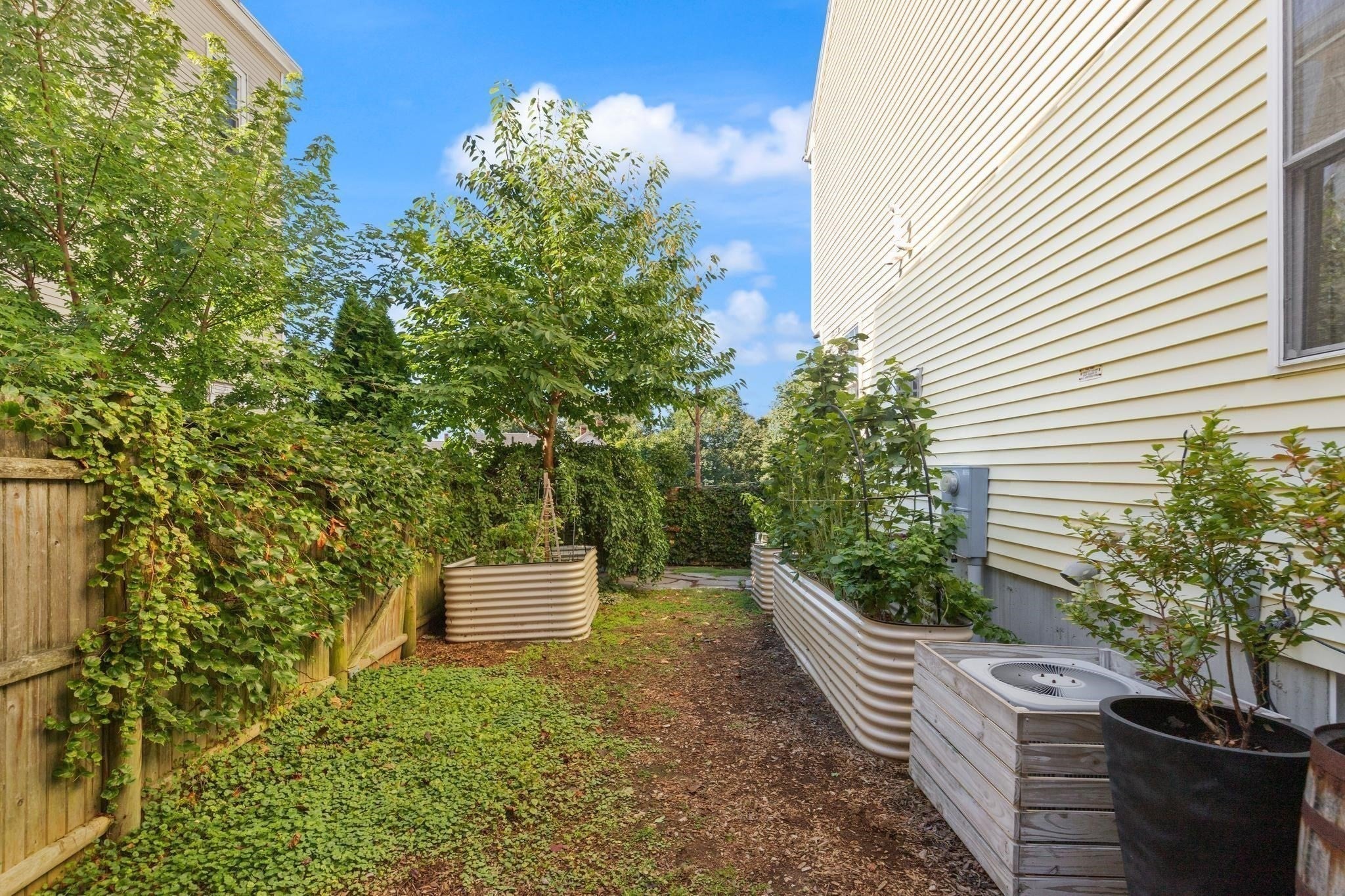 142 Bridge St #2, Salem, MA, 142 Bridge St #2, Salem, MA Photo #16