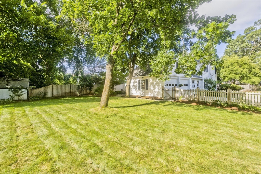 65 Laurel St