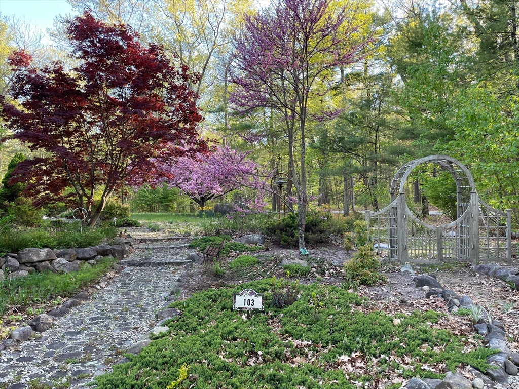 103 Forrest Rd