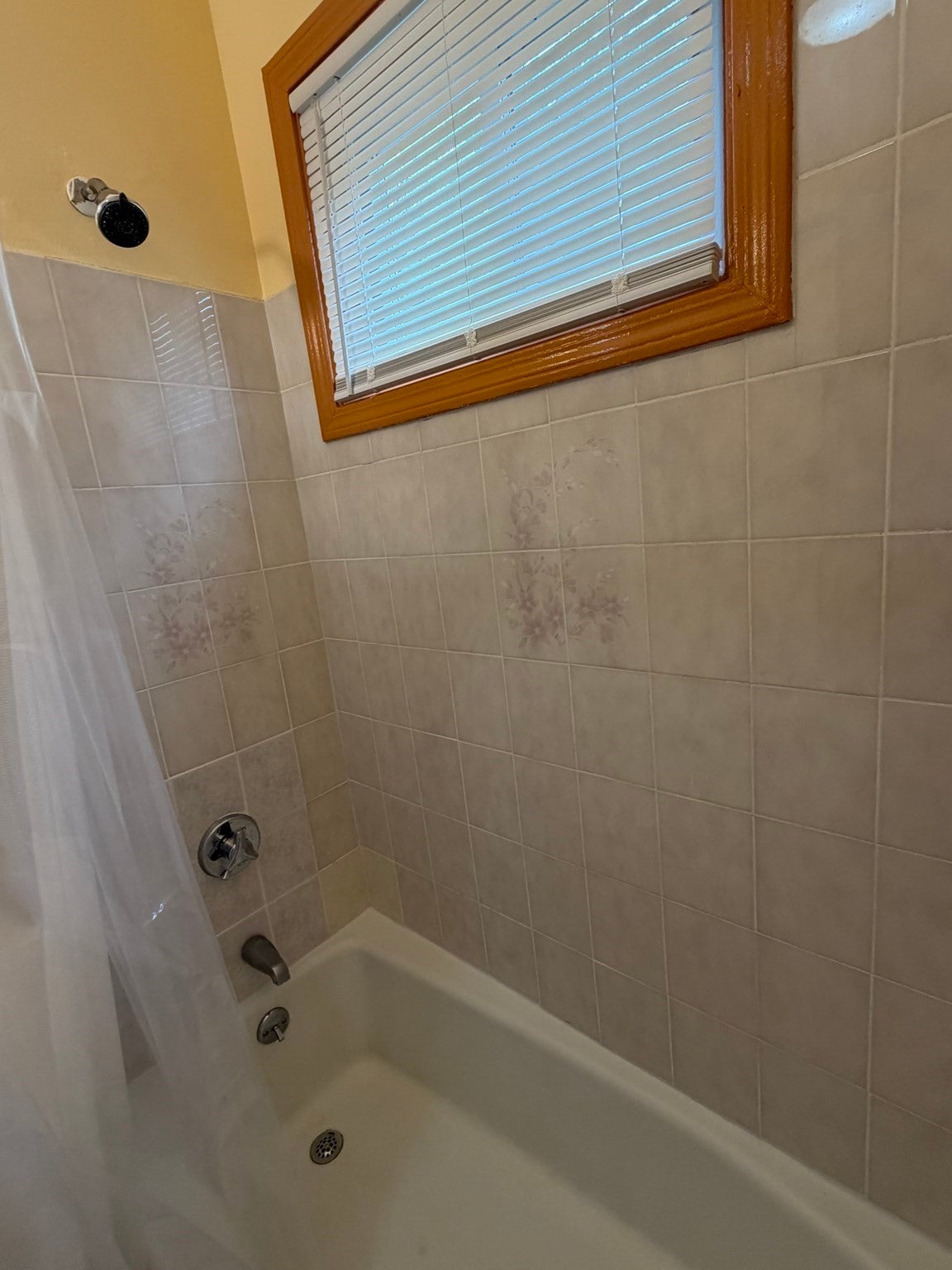 15 Holden Street #2, Boston, MA, 15 Holden Street #2, Boston, MA Photo #9