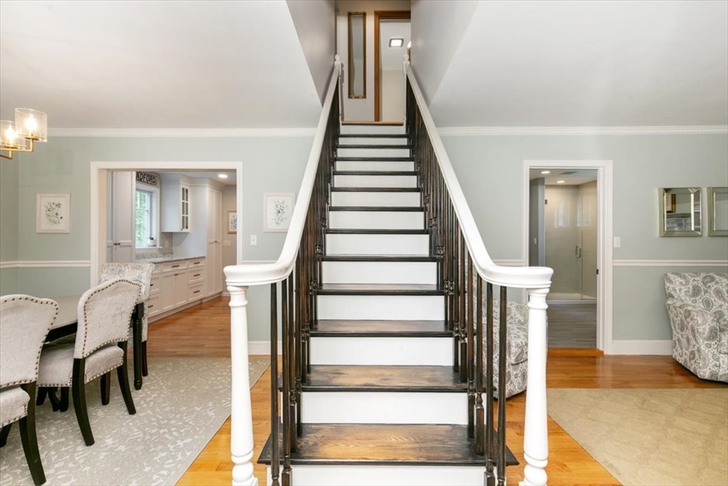 19 Off Webster Street