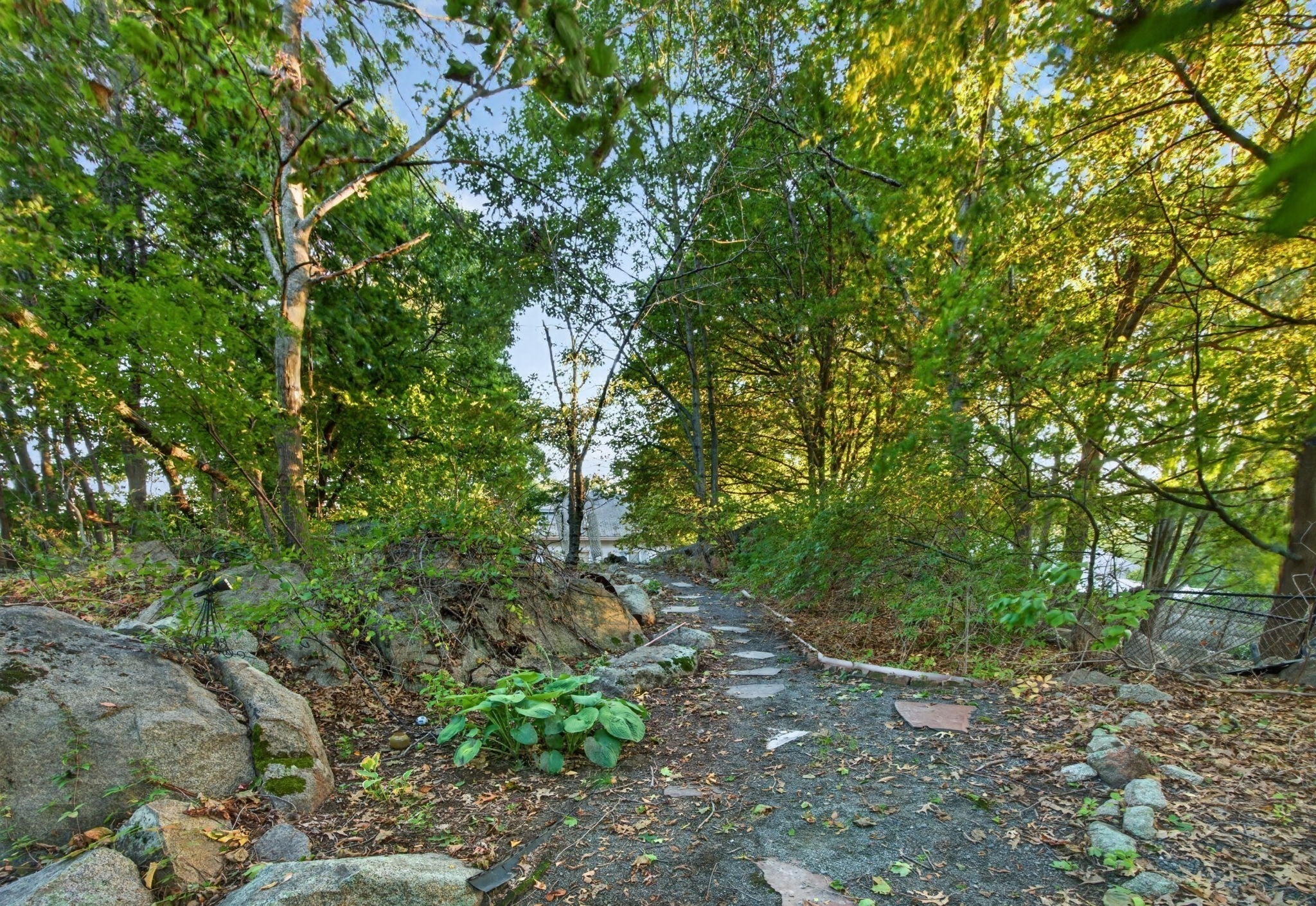 51 Bartholomew, Peabody, MA, 51 Bartholomew, Peabody, MA Photo #12