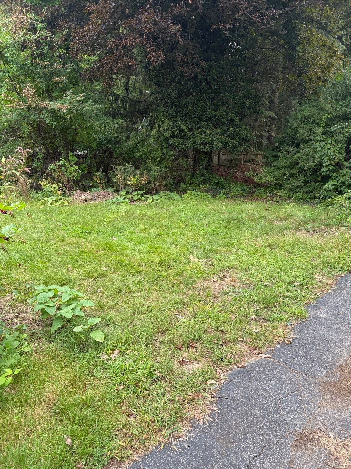 1275 Washington Street, Walpole, MA, 1275 Washington Street, Walpole, MA Photo #6