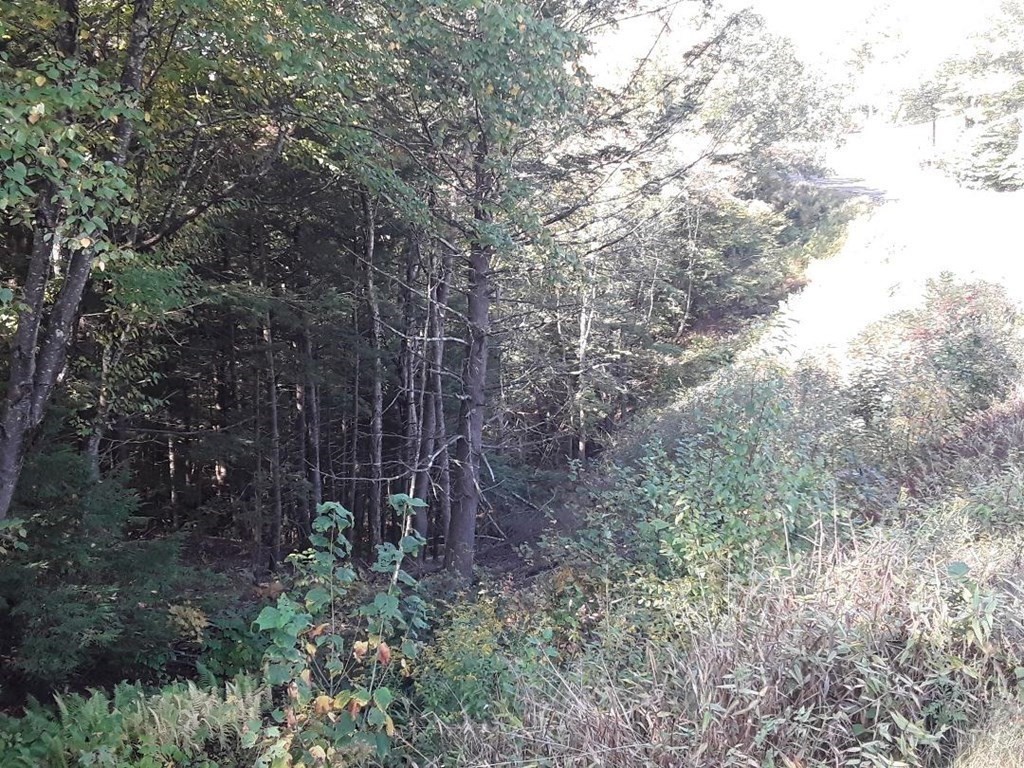 296 Northwest Road