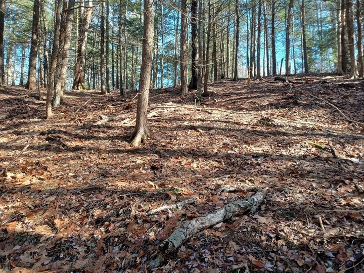 Photo 1 of 14 — 296 Northwest Road, Westhampton, MA 01027